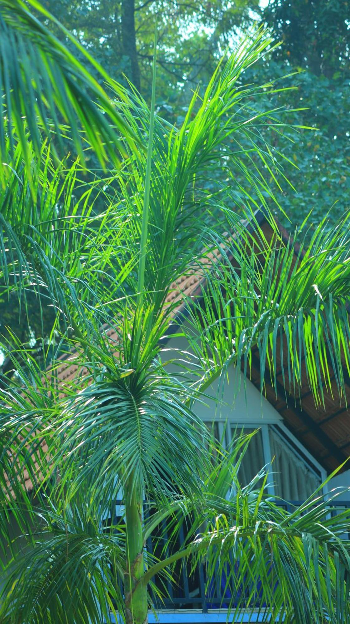 Ripples Service Villas Kollam Eksteriør billede